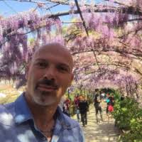 Greg Peyton Email & Phone Number