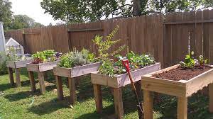 A raised garden bed also tends to be warmer than the ground, so you can plant a couple weeks earlier than you could just planting in the ground. Counter Height Garden Boxes By Janet Fox Ana White