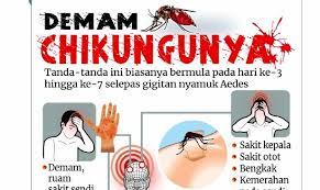 Sedarkah anda bahawa takungan air yang disebabkan penggunaan alat penapis air yang berada di kediaman juga menyumbang kepada pembiakan nyamuk aedes? Banyak Tempat Pembiakan Aedes Punca Chikungunya