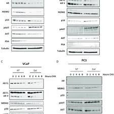 Daniel T. Dransfield's research works