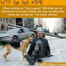 Images tagged i am legend. 46 I Am Legend Ideas I Am Legend Legend Will Smith