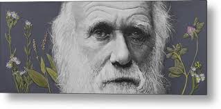 Sandwalk Wood- Charles Darwin. Metal Print