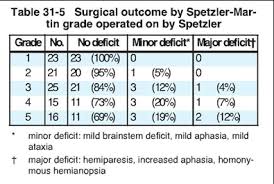 Avm Icd 10 Q28 2 Indonesia Neuroinformatics Institute