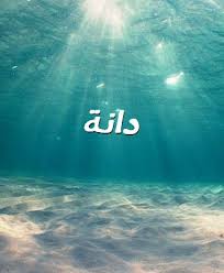 صور اسم دانة صورة