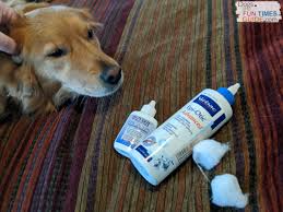 Shop all your favorite top named brands. The Dog Ear Infection Remedy Our Vet Recommends See How To Clean Smelly Dog Ears And Treat A Dog Ear Yeast Infection Using Vet Approved Products The First Time Dog Owner