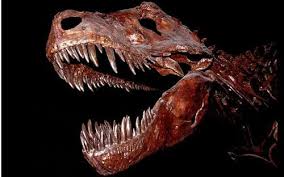 RÃ©sultat de recherche d'images pour "La dÃ©couverte d'un fossile de ptÃ©rosaure primitif en AmÃ©rique du Nord"
