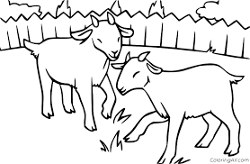 Here are a few goat coloring pages printable featuring the animal, goat, which your kid will love to color: Goat Coloring Pages Coloringall