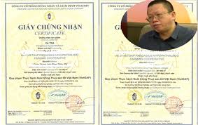 Ai 'bật đèn xanh' cho nhân viên VinaCert bán chứng nhận khống? - MVietQ