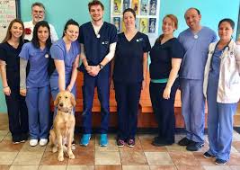 Reoutine care, wellness visits, and vaccines aren't what you need to be concerned with when it comes to your pet's vet costs. Banfield Vet Near Me Off 75 Www Usushimd Com