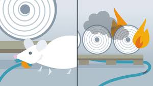Buy siemens rcbo, rcd, gfci, afdd circuit breakers. Arc Fault Detection Device Afdd Proven And Standard Compliant Youtube