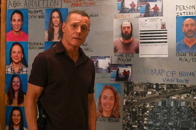 All About Sheldon Jin's Shocking Death on Chicago P.D.