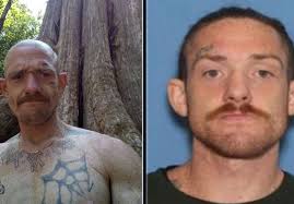 Sheriff: Man dies in reported homicide in Myrtle Point; police seek person  of interest