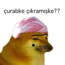 Camila Dioses Adli Kullanicinin Mood Memes Panosundaki Pin 2020 Komik Seyler Komik Tumblr Komik