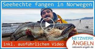 We did not find results for: Netzwerk Angeln Aktuell