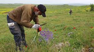 During the times of ancient rome, a dinner party was referred to as a convivia, and was a significant event for roman emperors and senators to congregate and discuss their relations. Food Gathering Adalah Cara Golden