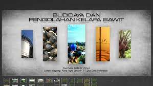 16 jln t.b simatupang no 1 tanjung barat, jakarta selatan jakarta 12530 atau melalui email: Lowongan Kerja Di Pt Eka Dura Indonesia Kumpulan Kerjaan