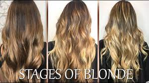 Just bleach it and remember it may take several sessions that can be risky to your hair in terms of damages. Box Blonde Hair Dye On Black Hair Novocom Top