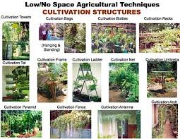 Think You Don T Have Space To Grow Plants Think Again Small Gardens Urban Agriculture Urban Garden