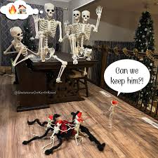 Ultra Posable Halloween Skeletons