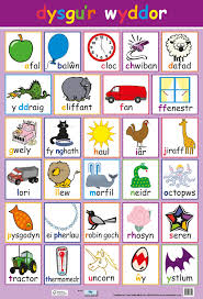 Match the words and pictures. Posters Uk Welsh Words Alphabet Wholesale Wall Posters Free Delivery