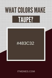 Ever heard of the taupe color? What Colors Make Taupe It Memes