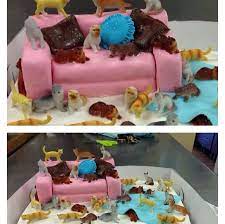 Crazy Cat Lady Cake Story Of My Life Great Dane Bakery Crazy Cat Lady Cake Cake Let Them Eat Cake