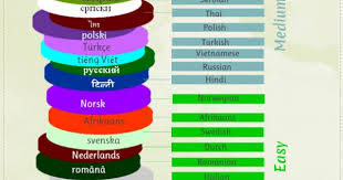 Pin On Infographics