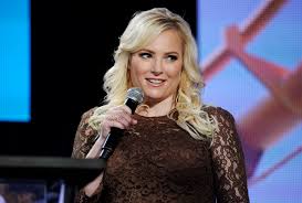 She has worked for abc news, fox news, and msnb. Meghan Mccain S Maverick Mouth Politics Us News