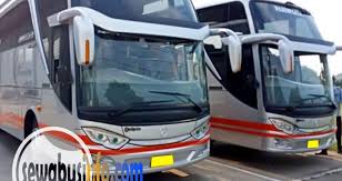 Bus pariwisata yang satu ini memang sudah tidak perlu diragukan lagi kehandalanya. Daftar Harga Sewa Bus Pariwisata Di Tangerang Sewabusinfo Com