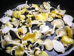 If you can't find it, use fettuccine. Pan Fried Oyster Mushrooms The Sophisticated Caveman
