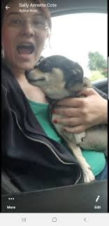 Can someone contact the owner of the lost chihuahua?