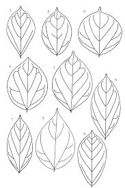 Image result for Agelaea pentagyna