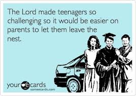 You've done the test for a third time and thrown up. The Lord Made Teenagers So Challenging So It Would Be Easier On Parents To Let Them Leave The Nest Mom Humor Parenting Humor Teenager