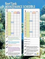 Use Our Printable Reef Tank Maintenance Schedule To Stay On