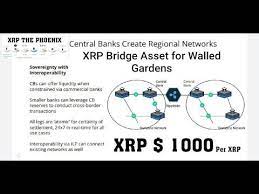Xrp The Phoenix Bridge Asset Walled Gardens 1000 Per Xrp Imf Ripple Transforming Global Asset Wall Garden Global