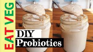 probiotic yogurt vegan the great