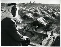 interactive encyclopedia of the ...