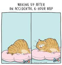 Polubienia 37 6 Tys Komentarze 432 Lingvistov Lingvistov Na Instagramie Visit Our Online Shop Lingvistov Funny Illustration Cat Comics Crazy Cats