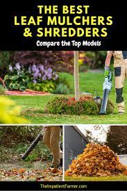 6 Best Leaf Mulcher And Shredders Our Favorite 3 In 1 Leaf Tools In 2021 Leaf Mulch Lawn Care Green Lawn