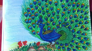 Welcome to jana art today design about how to draw peacock with beautiful feather design | pencil art. How To Draw A Beautiful Peacock Step By Step Youtube