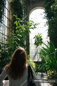 Are there any stock photos of female anatomy? Back View Of Woman Walking Between Green Plants And Bushes Inside Of Old Greenhouse With High Ceiling And Arched Window Scotland Botany Colorful Stock Photo 287924368