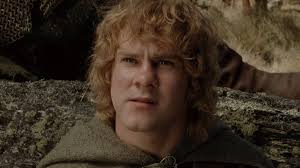 How Old Is Each Member Of The Fellowship Of The Ring?