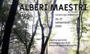 Il mondo delle piante a portata di click! Alberi Maestri Performance Itinerante Per Avvicinarsi Al Mondo Delle Piante Prima Merate