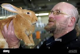 Mostra allevatori di conigli immagini e fotografie stock ad alta  risoluzione