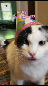 Little Tunny 🐌🤝🧂s Video on X