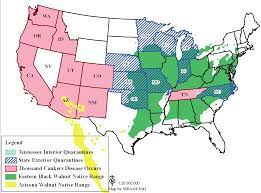Http Agbio Agsci Colostate Edu Wp Content Uploads Sites 115 2013 03 An 0611 Planthealth Pdf