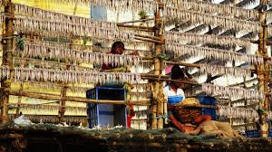 Did you know that the name Colaba was ...