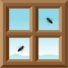 We did not find results for: 35 Effective Ways To Get Rid Of Flies That Actually Work