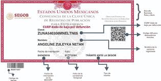 Dirección general del registro civil del estado de tabasco calle sindicato de agricultura #601 esq. Constancia De Baja De Curp Por Defuncion Requisito Para El Acceso A Derechos Registro Nacional De Poblacion Gobierno Gob Mx