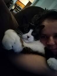 Introduction to Snowshoe cat Momo